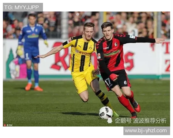 沙尔克04与弗莱堡历史交锋记录分析及战绩回顾 沙尔克04与弗莱堡历史交锋记录分析及战绩回顾